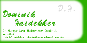 dominik haidekker business card